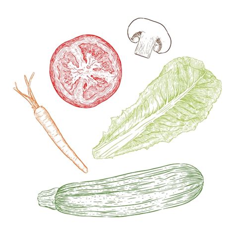 Premium Vector Hand Drawn Sketch Style Vegetables Set