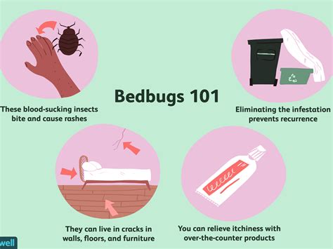 How Long Do Bed Bugs Bites Last Hutomo