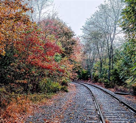 Railroad Tracks On A Fall Day Stock Photo Image Of Falling Railroad
