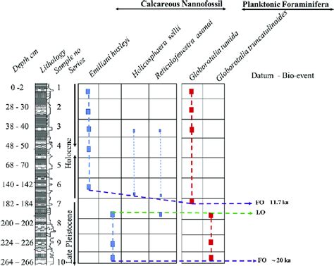 Distribution Of The Calcareous Nannofossil And Planktonic Foraminiferal