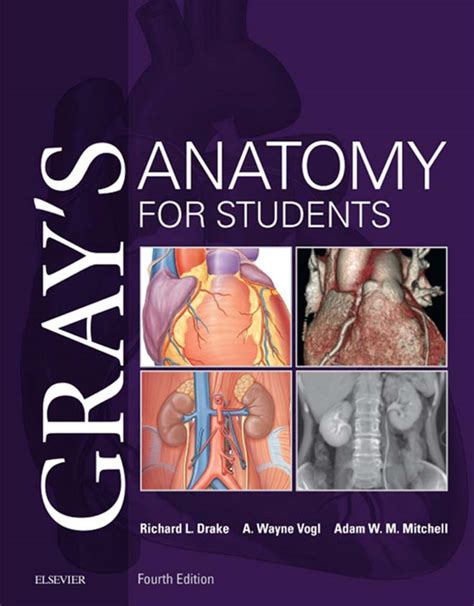 Grays Anatomy For Students 4th Edition Vetbooks