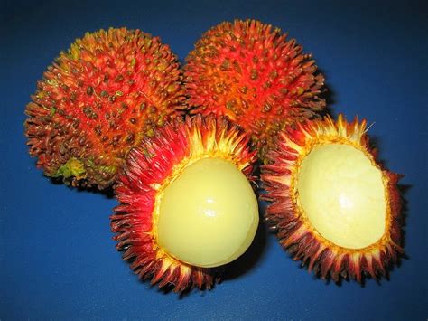 Papaleng Thoughts Unplugged 10 Exotic Spiky Fruits