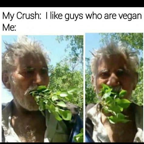 Any female vegetarian would love to wear this. 20 Vegan Memes That'll Surely Get You A Laugh ...