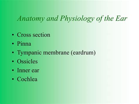 Ppt Anatomy And Physiology Of The Ear Powerpoint Presentation Free