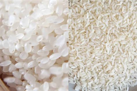 The Difference Between Sushi Rice And Jasmine Rice