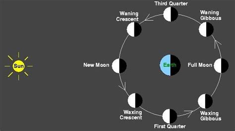 Phases Astro Bob Moon Phases Lunar Phase Lunar