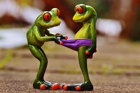 58 Funny Frog Wallpapers On Wallpaperplay