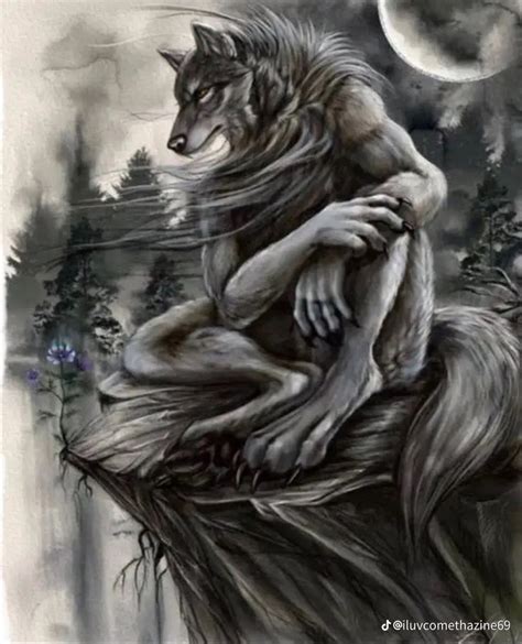 Pin By Ideeperlamente On Fantasy Alpha Wolf Alpha Werewolf Wolf Pictures