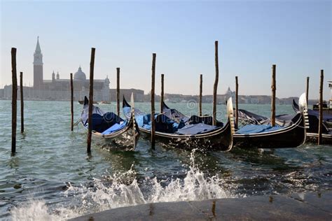 Gondolas Moored To Wooden Stakes In Venice Stock Photo Image Of