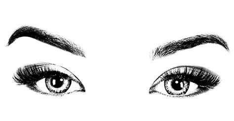 Eyebrow clipart woman's eye, Eyebrow woman's eye ...