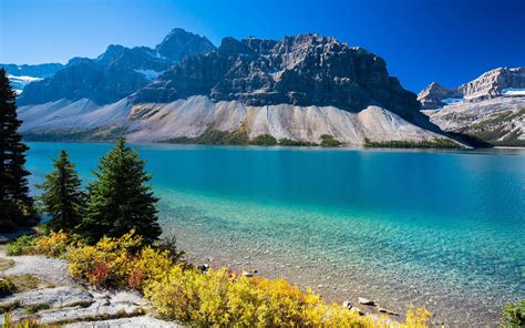 Bow Lake In Western Alberta Canada Turquoise Water Rocky Mountain Ultra