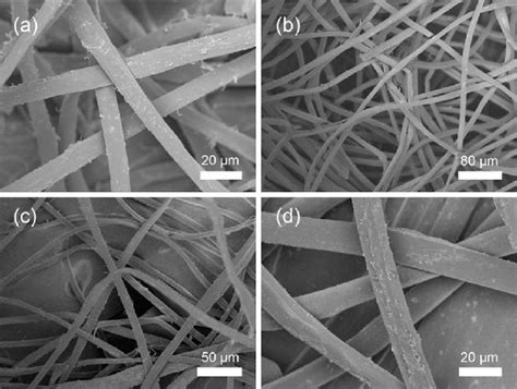 Scanning Electron Microscope Images Of Silk Fibers Modified With A Nf