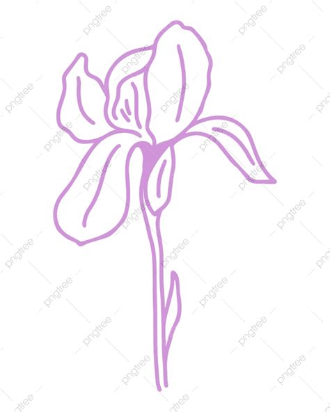 Purple Iris Vector Hd Images Silhouette Of Delicate Purple Iris Flower