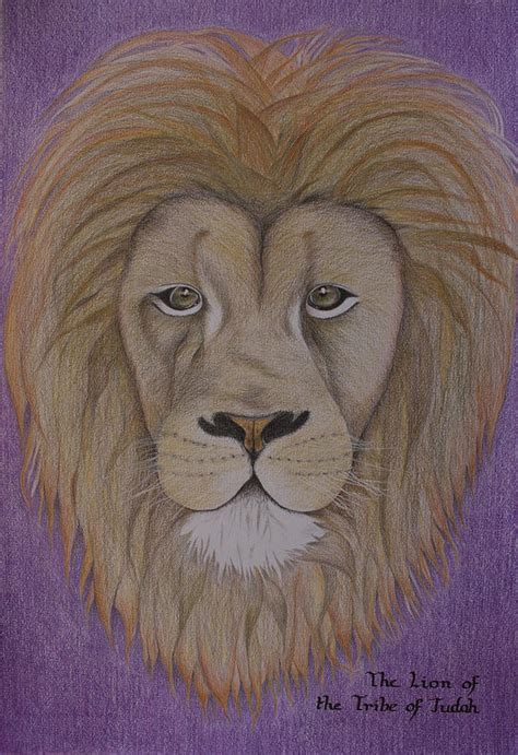 Lion Of The Tribe Of Judah Drawing By Carol De Bruyn