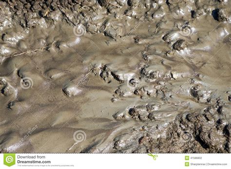 Flowing Wet Mud Texture Stock Photo Image Of Brown Flowing 41586802