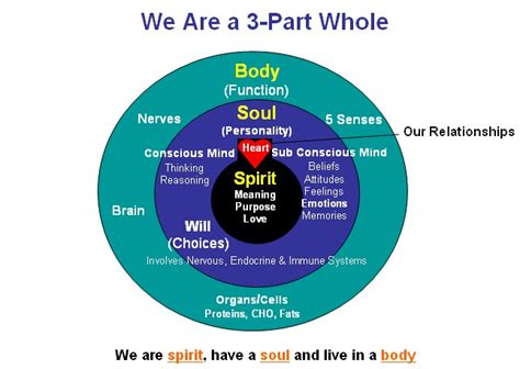 Humans Have Three Parts Body Soul And Spirit