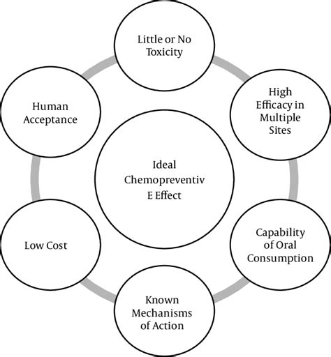What are the characteristics of an ideal antimicrobial drug? The Characteristics of an Ideal Chemopreventive Agent ...