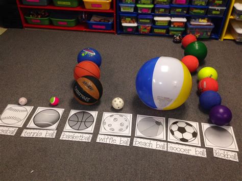 Ball Sort And Graph Creative Curriculum Preschool Study Creative