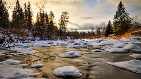 Download 1920x1080 Hd Wallpaper Forest Overcast Ice River Snow Winter