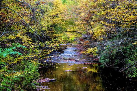 Stream In The Smoky Mountains Autumn Colors Photograph By Debra And