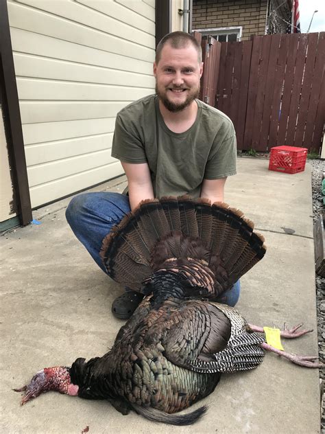 Shot my biggest turkey ever about an hour ago! : Hunting