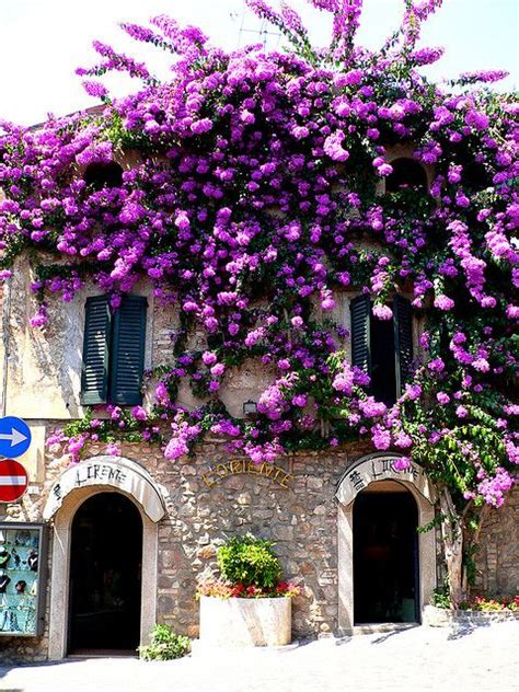 We did not find results for: Pin von Doris Kronsbein auf Garten | Gardasee italien ...