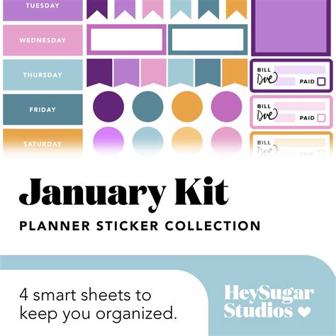 Erin Condren Winter New Years January Planner Stickers Monthly Spread