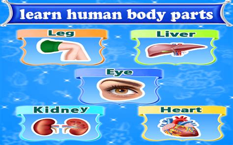 Learn Human Body Parts Best Learning Game For Your Kids And Babies Images