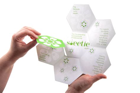 Download Design Practice: Context - the Brand and Packaging