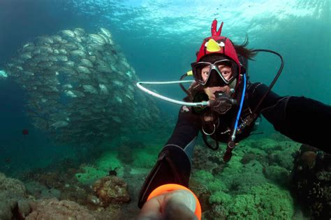 5 Amazing Underwater Photos With Ocean Animals