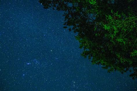 Premium Photo Night Sky With Stars And Milky Way With Green Tropical
