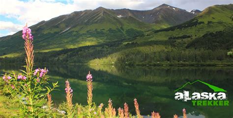 Alaska State Plant Listings