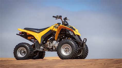 His eyes are sharp and bright red in color. How Much Does an ATV Weigh?