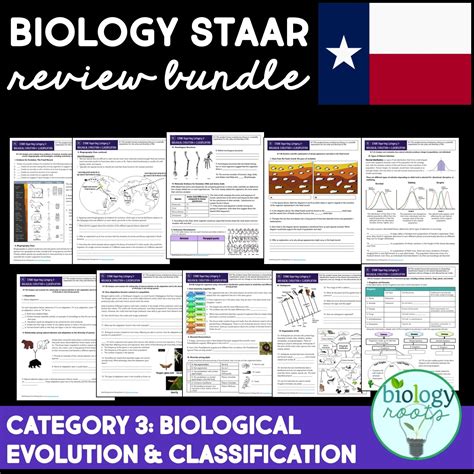 Begin early and pace yourself. Store | STAAR Biology Review Reporting Category 3