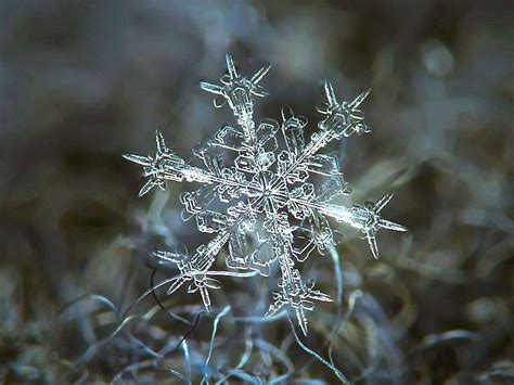 Beautiful Snowflake Макросъемки Снежинки Потрясающие фотографии