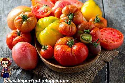 Tips For Growing Awesome Organic Tomatoes The Imperfectly Happy Home