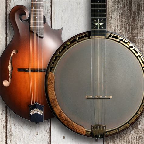 Folk And Bluegrass Instruments Buy Folk And Bluegrass Online