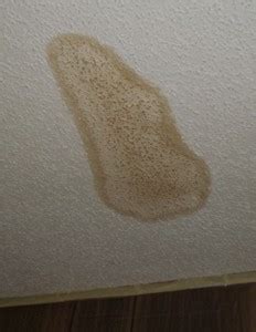 Water stains on ceiling removal. Do-It-Yourself Ceiling Water Stain Cover-Up | LiveOnCash Blog