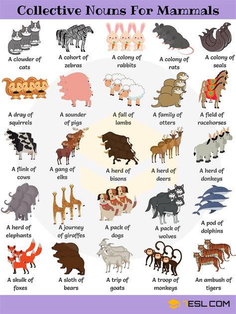 A collection of a particular animal species is given a special term which is their group name for example an army of ants, a swarm of bees etc. Animal Group Names: 250+ Collective Nouns for Animals ...