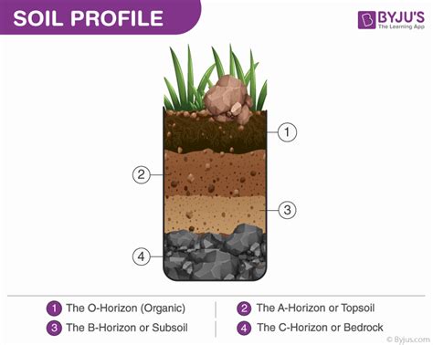 Topsoil Subsoil Bedrock