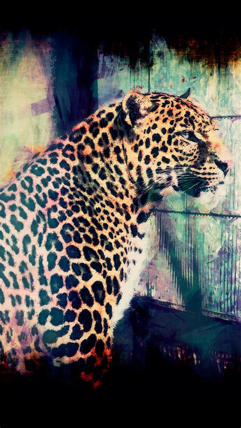 Male Leopard Iphone Wallpapers Free Download