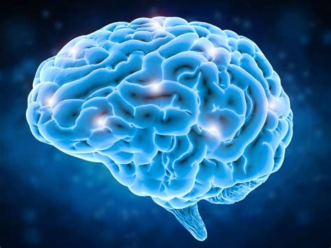 Cannabis Effects On The Brain According To Science