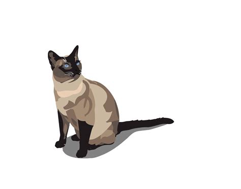 Siamese Cat Vector File By Digitemb On Dribbble