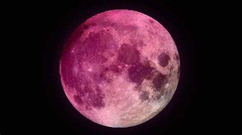 Luna De Fresa ¿cuándo Y Dónde Podrá Verse El Próximo Eclipse Lunar Mui Noticias