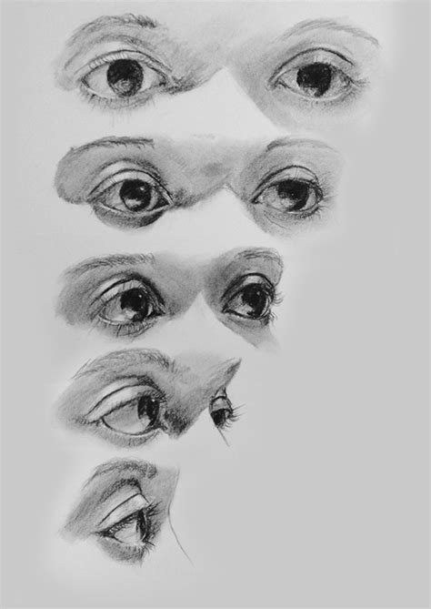 Drawing The Human Face Tips For Beginner Artists