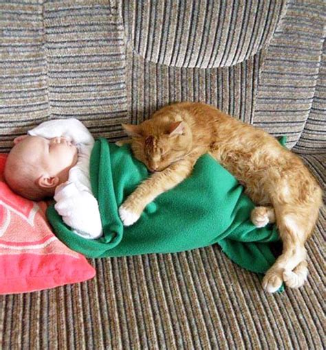 Baby Vs Cat 22 Cutest Photos Shows Beautiful Relation Of