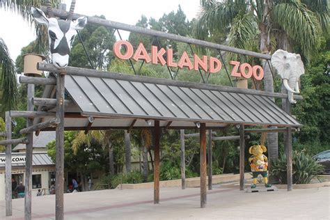 Just Opened California Trail At Oakland Zoo Offmetro Ca