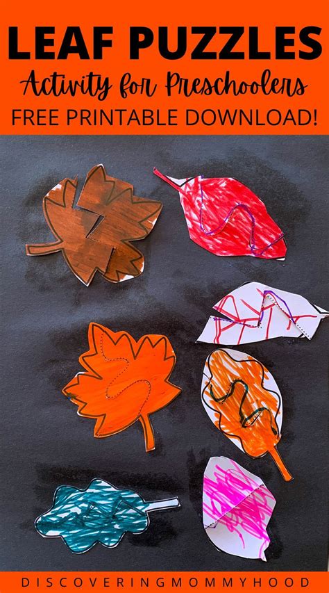 Fun Fall Activities For Toddlers And Preschoolers To Develop Fine Motor