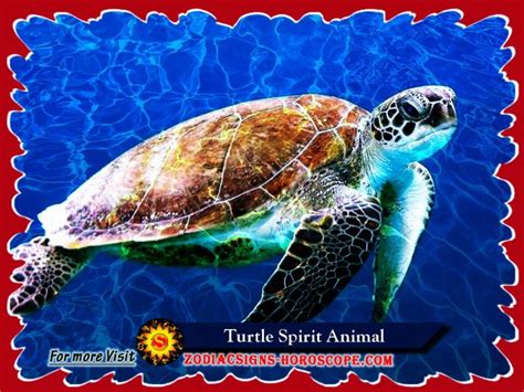 Turtle Spirit Animal Meaning Symbolism Dreams Of The Turtle Totem