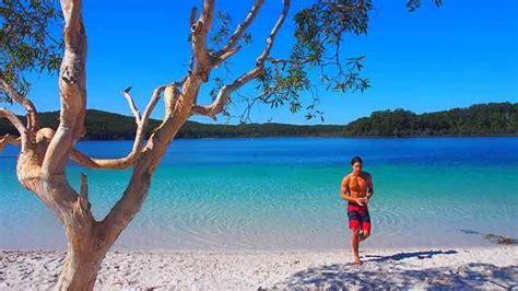 Fraser Island Day Tour Departing Noosa And Rainbow Beach Discovery